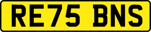 RE75BNS