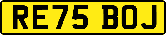 RE75BOJ