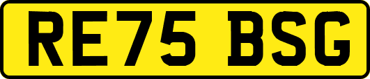 RE75BSG