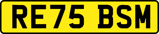RE75BSM