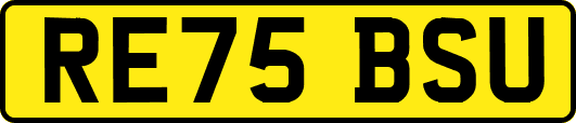 RE75BSU