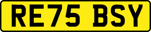 RE75BSY