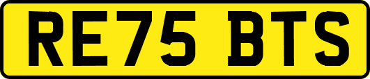 RE75BTS