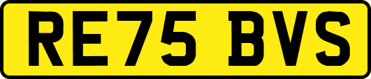 RE75BVS