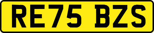 RE75BZS