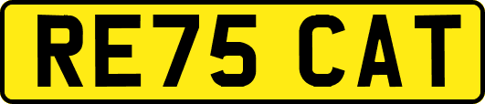 RE75CAT