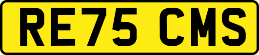 RE75CMS