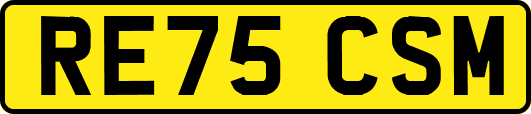RE75CSM