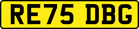 RE75DBG
