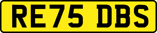 RE75DBS