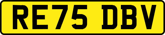 RE75DBV