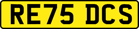 RE75DCS