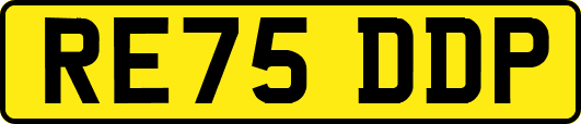 RE75DDP
