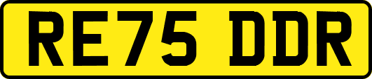 RE75DDR