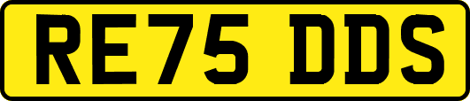 RE75DDS