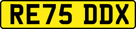 RE75DDX