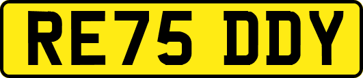 RE75DDY