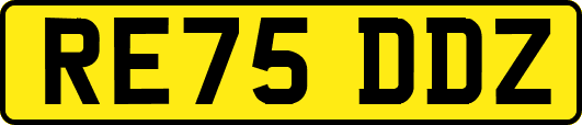 RE75DDZ
