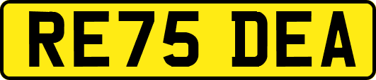RE75DEA