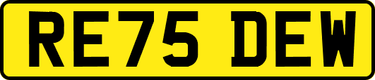 RE75DEW