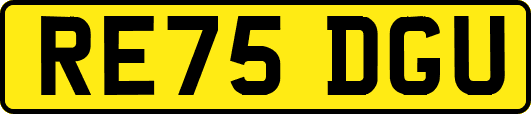 RE75DGU