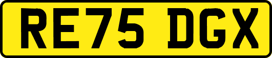 RE75DGX