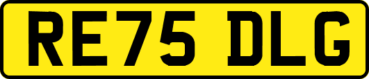 RE75DLG