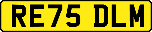 RE75DLM