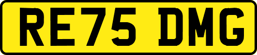 RE75DMG