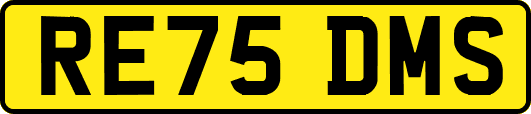 RE75DMS