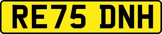 RE75DNH