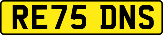 RE75DNS