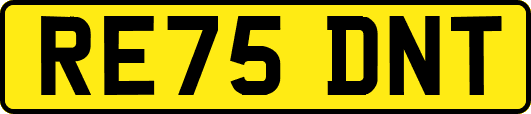 RE75DNT