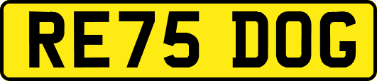 RE75DOG