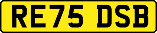 RE75DSB