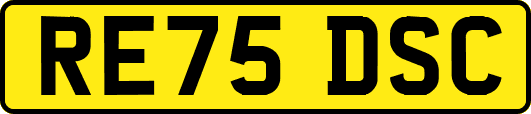 RE75DSC