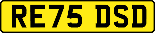 RE75DSD