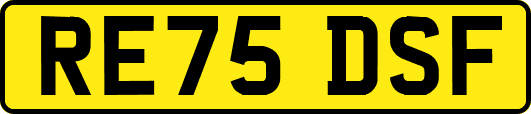RE75DSF