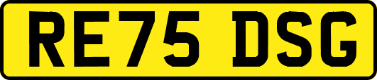 RE75DSG