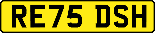 RE75DSH