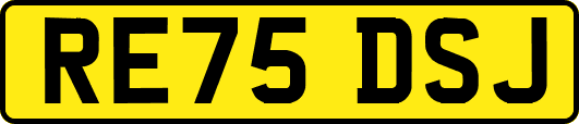 RE75DSJ