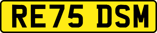 RE75DSM