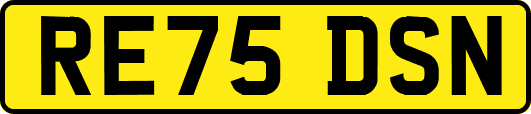 RE75DSN