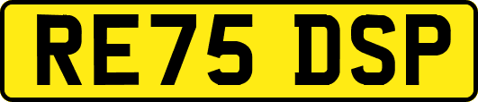 RE75DSP
