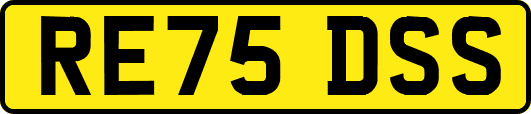 RE75DSS