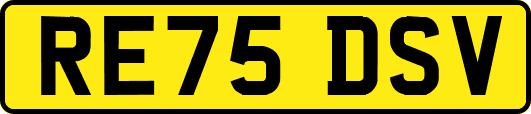 RE75DSV