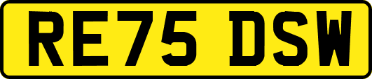 RE75DSW