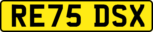 RE75DSX