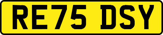 RE75DSY