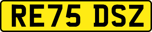 RE75DSZ